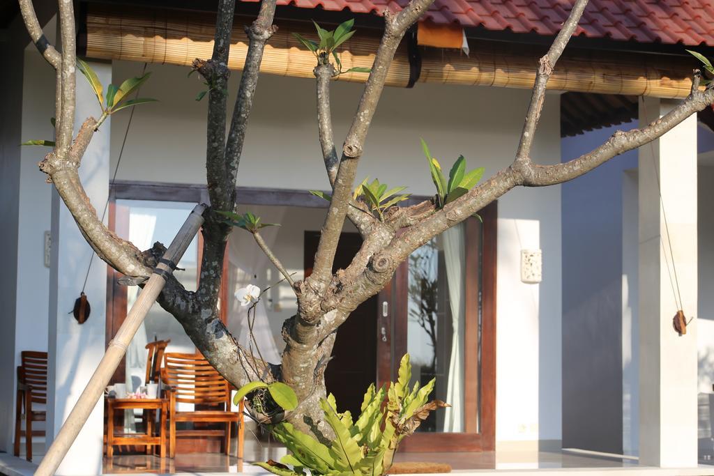Soka Amed Beach Phòng bức ảnh